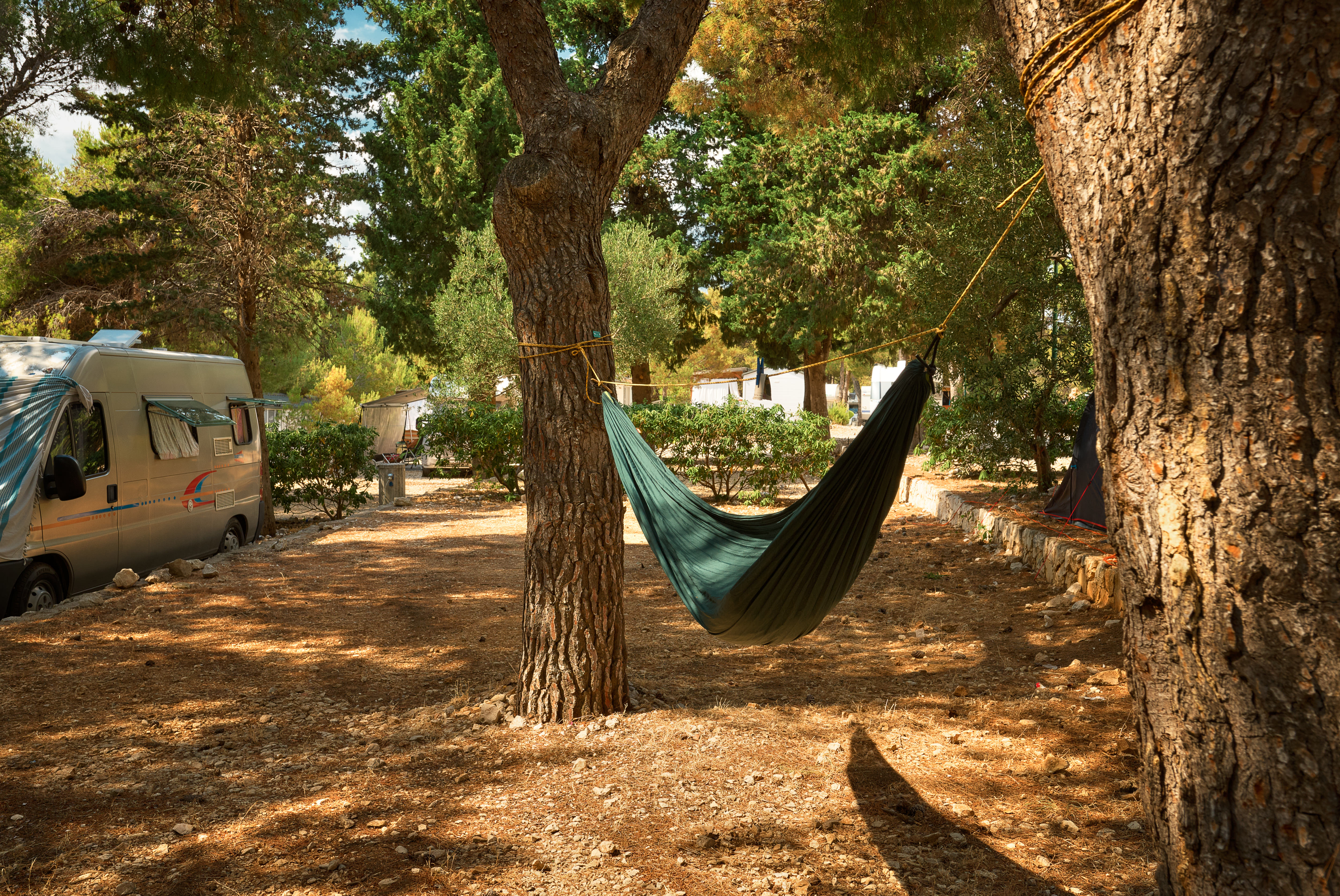 Hammock among the pines in the camp