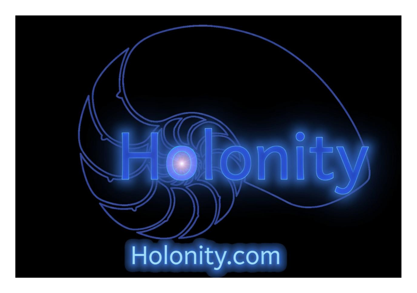 Holonity